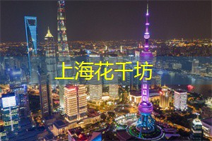 上海后花园：大都市中的绿意天堂等你来发现！