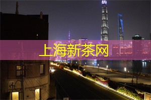 上海一日游最佳攻略游：12小时浓缩魔都精华