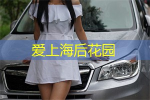 文艺气息！上海工作室内的艺术品大鉴赏！